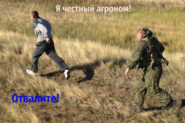 Как через сафари зайти на кракен