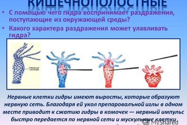 Кракен ссылка vtor
