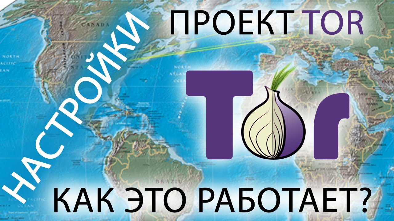 Кракен лег